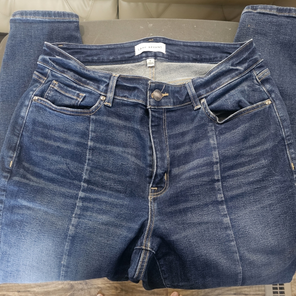 Lane Bryant jegging